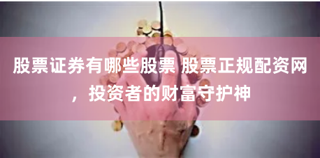 股票证券有哪些股票 股票正规配资网，投资者的财富守护神