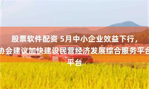 股票软件配资 5月中小企业效益下行,协会建议加快建设民营经济发展综合服务平台