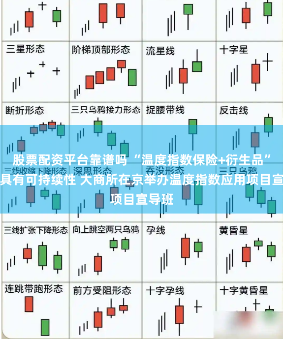 股票配资平台靠谱吗 “温度指数保险+衍生品”模式具有可持续性 大商所在京举办温度指数应用项目宣导班