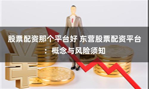 股票配资那个平台好 东营股票配资平台：概念与风险须知