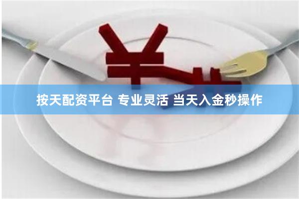 按天配资平台 专业灵活 当天入金秒操作