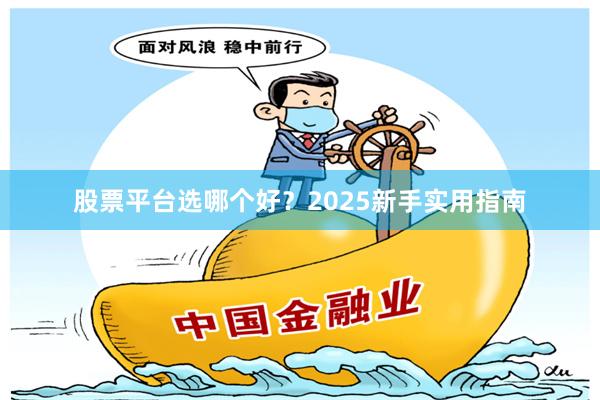 股票平台选哪个好？2025新手实用指南