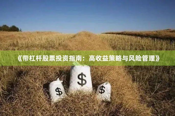 《带杠杆股票投资指南：高收益策略与风险管理》